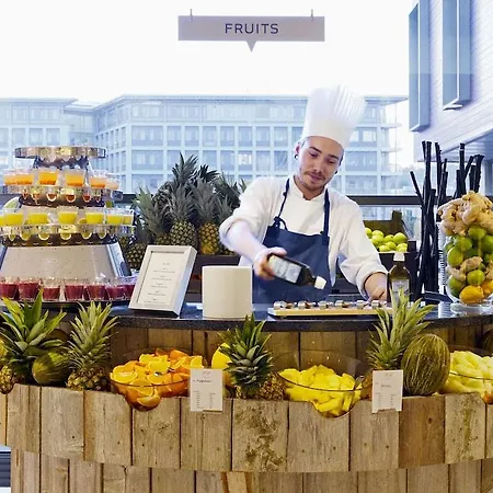 سكانديك نيديلفين 4*